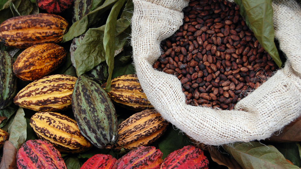 Afrika: Kakao aus Ghana